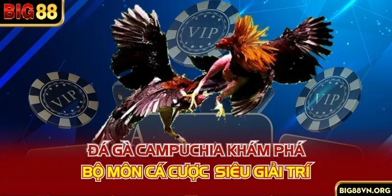Đá Gà Campuchia - Khám Phá Bộ Môn Cá Cược Siêu Giải Trí