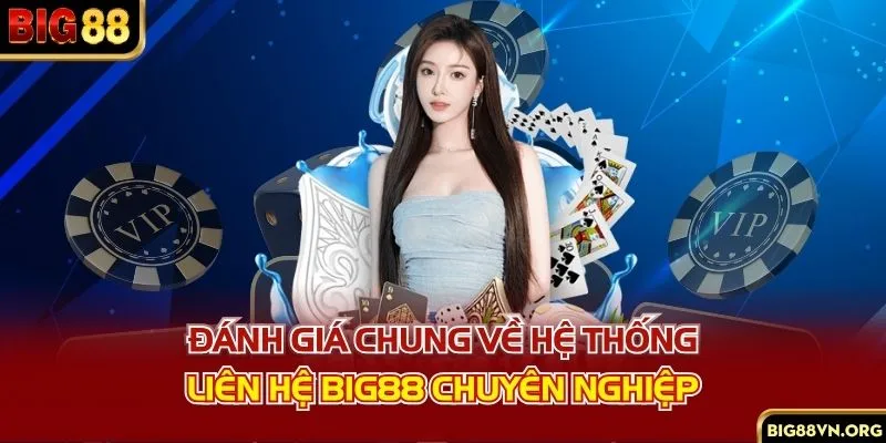 Đánh giá chung về hệ thống liên hệ Big88 chuyên nghiệp