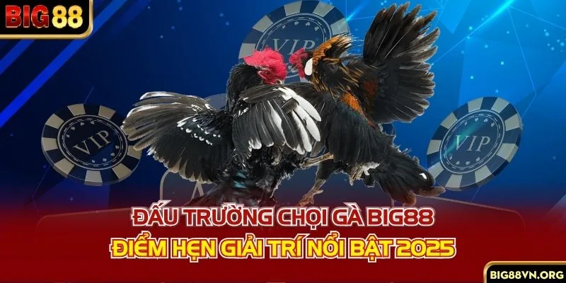 Đấu Trường Chọi Gà BIG88 - Điểm Hẹn Giải Trí Nổi Bật 2025