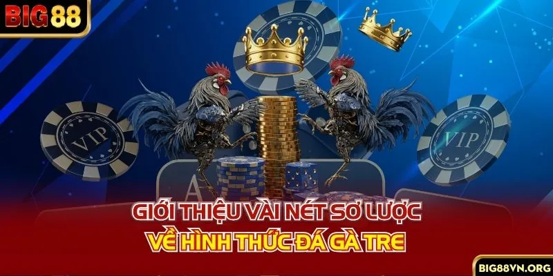 Giới thiệu vài nét sơ lược về hình thức đá gà tre