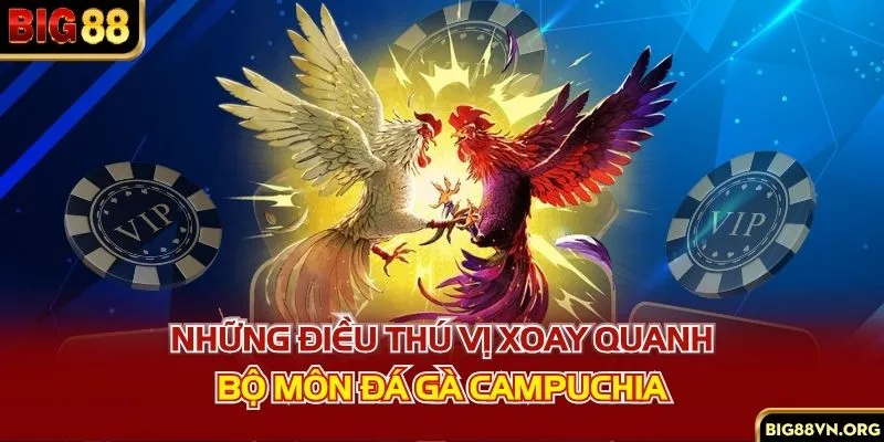 Những điều thú vị xoay quanh bộ môn đá gà Campuchia