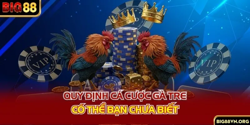 Quy định cá cược gà tre có thể bạn chưa biết