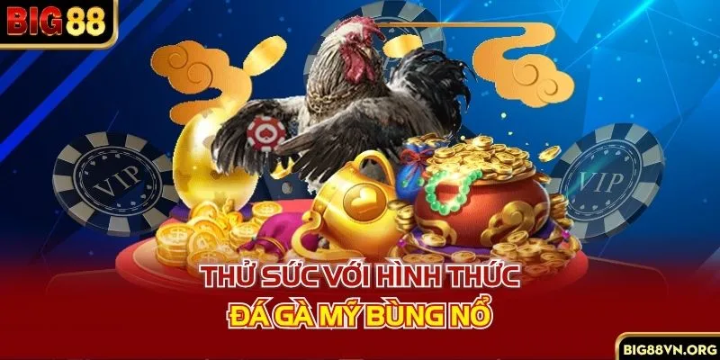 Thử sức với hình thức đá gà Mỹ bùng nổ