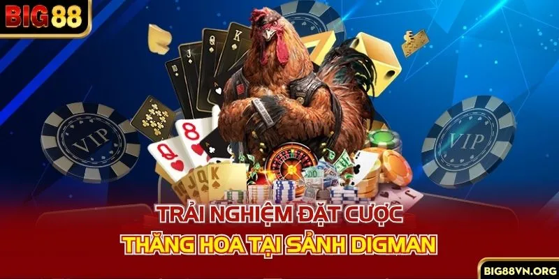 Trải nghiệm đặt cược thăng hoa tại sảnh Digman