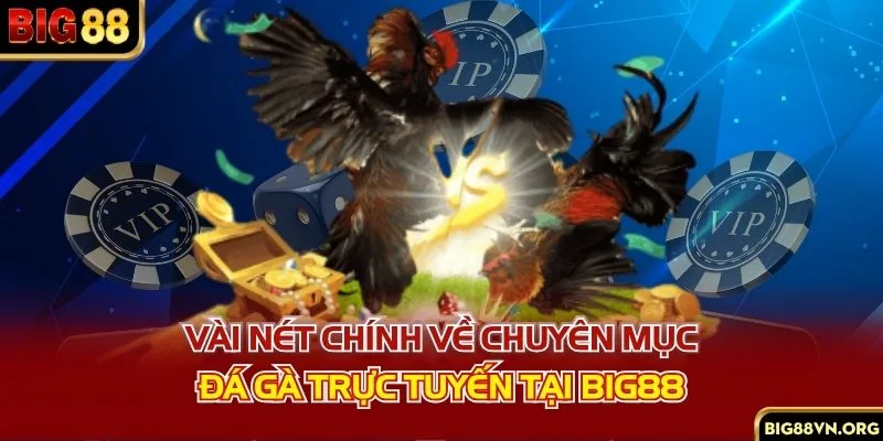 Vài nét chính về chuyên mục đá gà trực tuyến tại BIG88